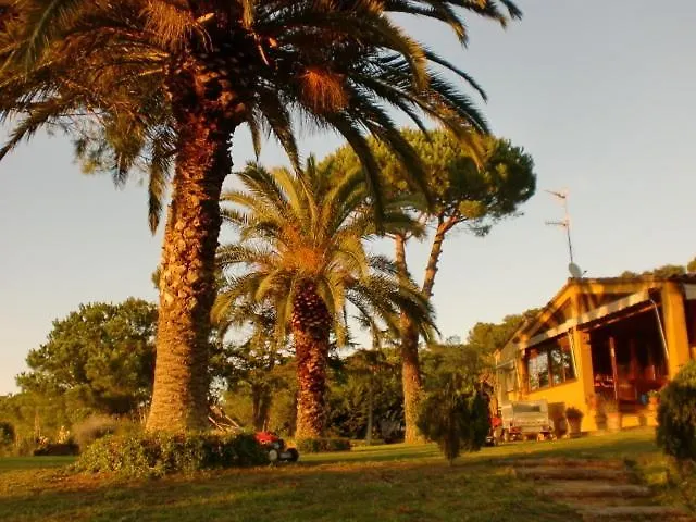 فندق مبيت وإفطار Puig Gros *
