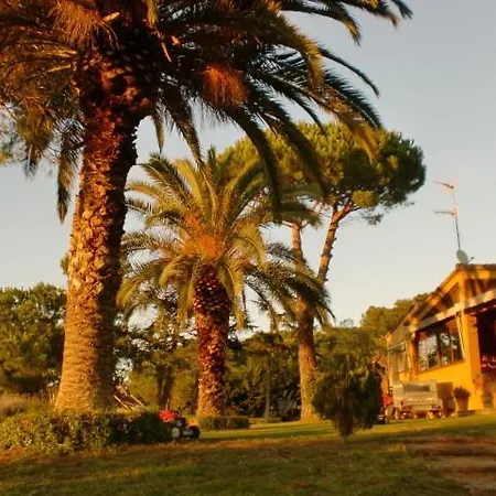 Bed & Breakfast Puig Gros *
